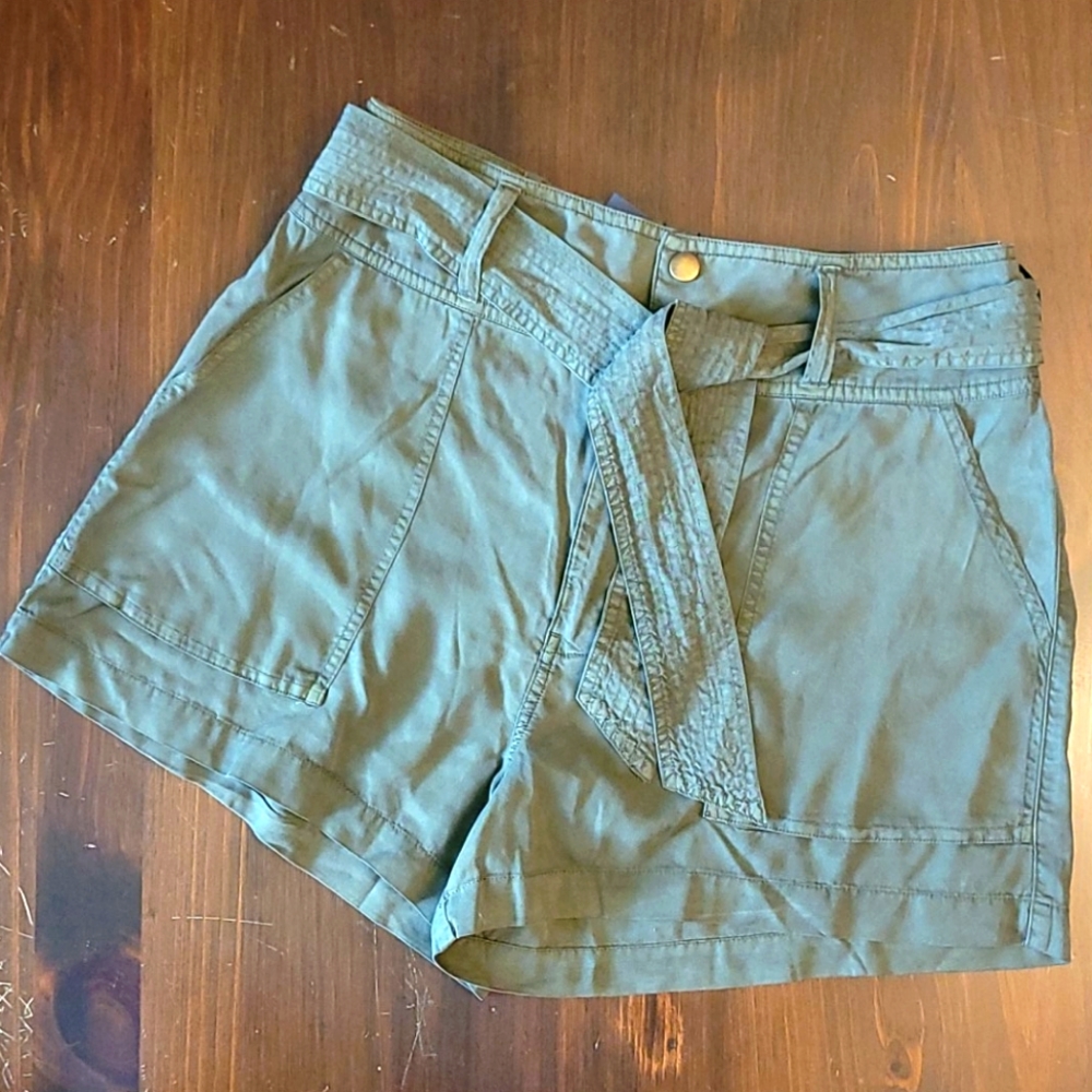 Abercrombie Olive Green Utility Shorts